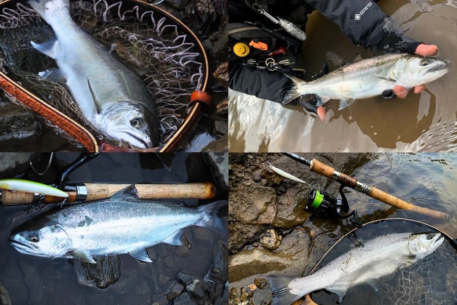 御母衣ダム フィッシングスクール ランドロックサツキマス ランドロックサクラマス イワナ