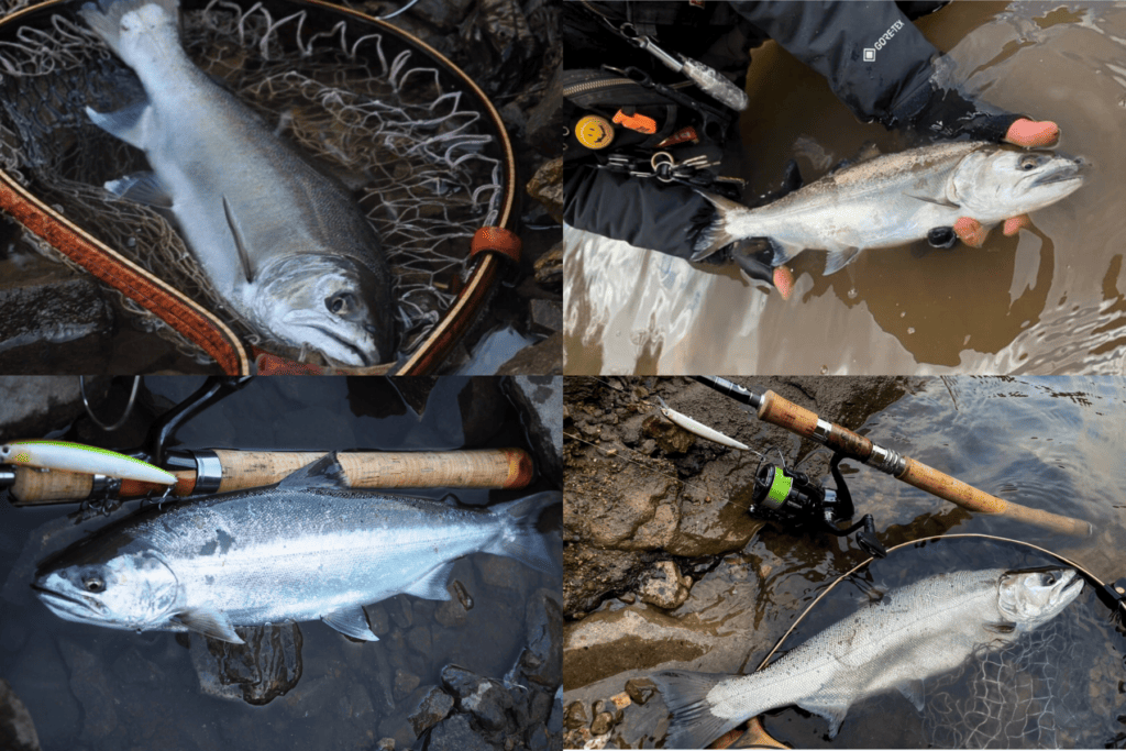 御母衣ダム フィッシングスクール ランドロックサツキマス ランドロックサクラマス イワナ