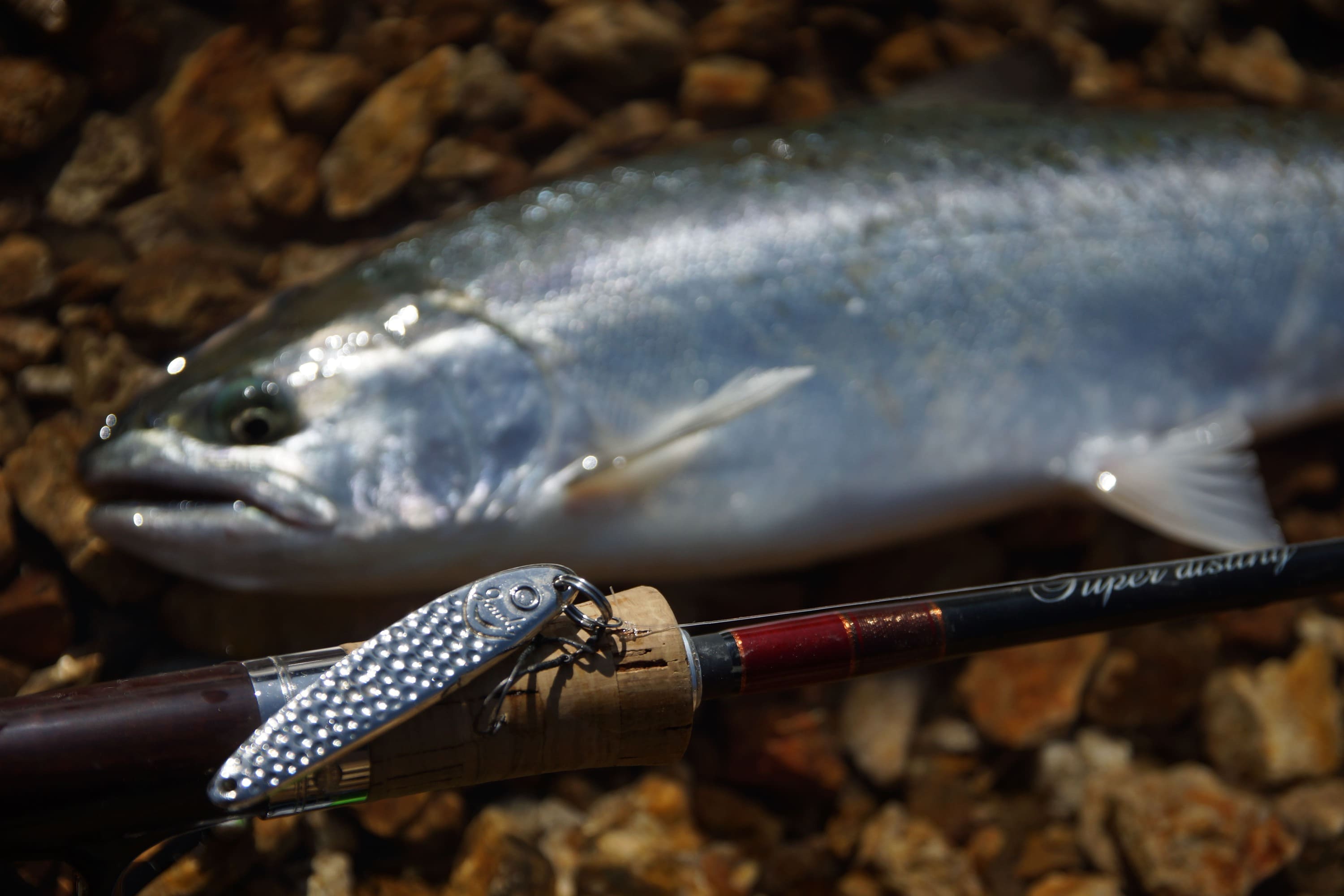 カスケット ジャックガウディ ジギング モノクローム