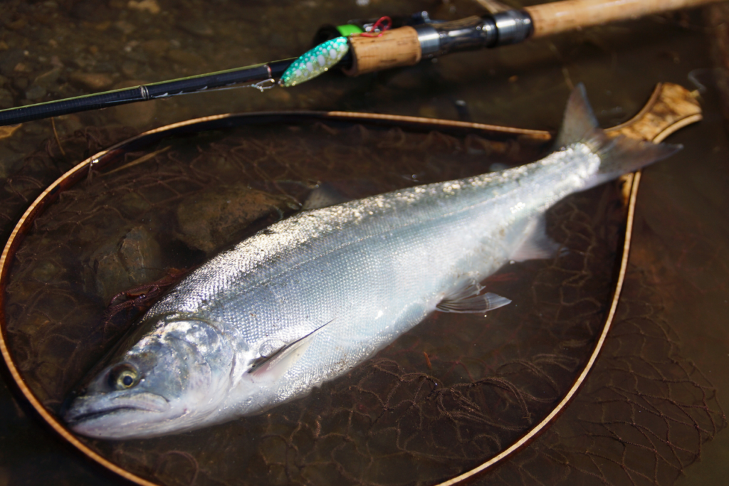 解禁 | Fishing Gear Monochrome