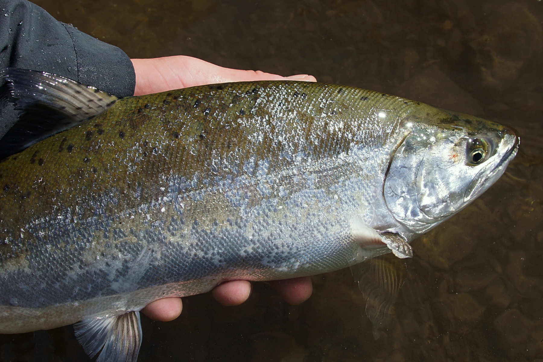 解禁 | Fishing Gear Monochrome